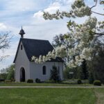 Schönstattheiligtum in Frühlingsblüten eingebettet