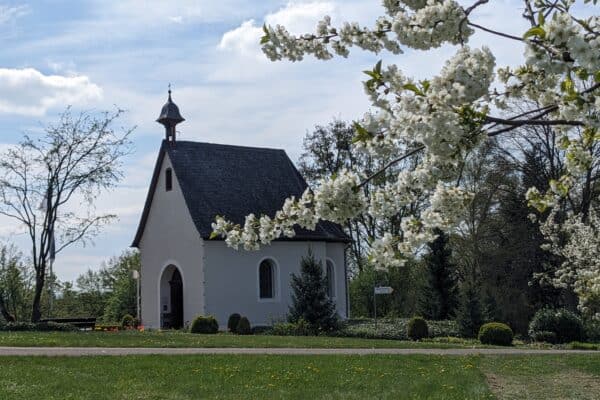 Schönstattheiligtum in Frühlingsblüten eingebettet