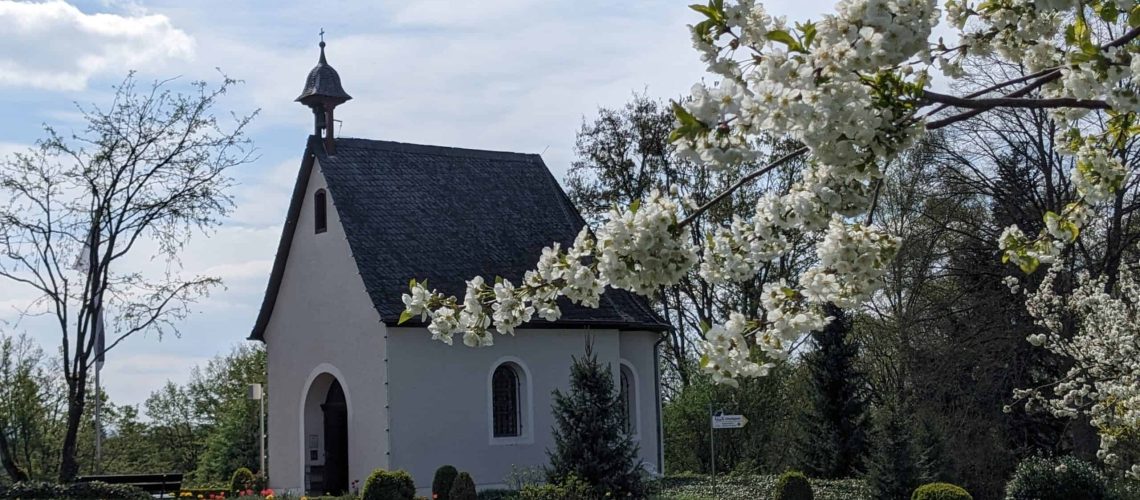 Schönstattheiligtum in Frühlingsblüten eingebettet